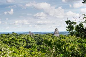 Tikal: guía completa para visitar la ciudad maya más impresionante de Guatemala